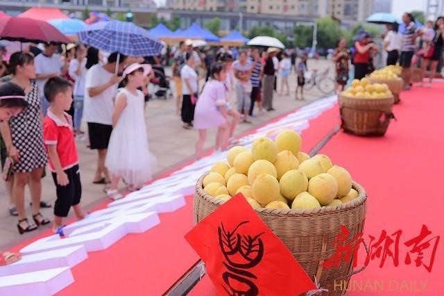 洪江市禹甜科技有限公司,黔陽(yáng)瞐農(nóng)產(chǎn)品的批發(fā)零售 洪江市禹甜科技有限公司,黔陽(yáng)瞐農(nóng)產(chǎn)品的批發(fā)零售