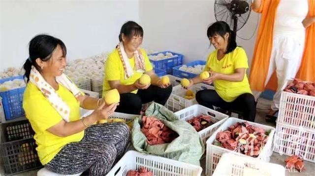 洪江市禹甜科技有限公司,黔陽(yáng)瞐農(nóng)產(chǎn)品的批發(fā)零售 洪江市禹甜科技有限公司,黔陽(yáng)瞐農(nóng)產(chǎn)品的批發(fā)零售